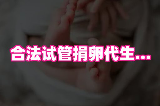 gfg孕网 3