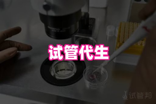 gfg孕网 4